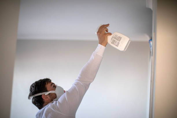 Best Certified Mold Removal  in Berne, IN