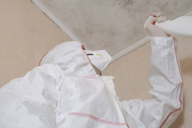 Best Local Mold Removal Service  in Berne, IN
